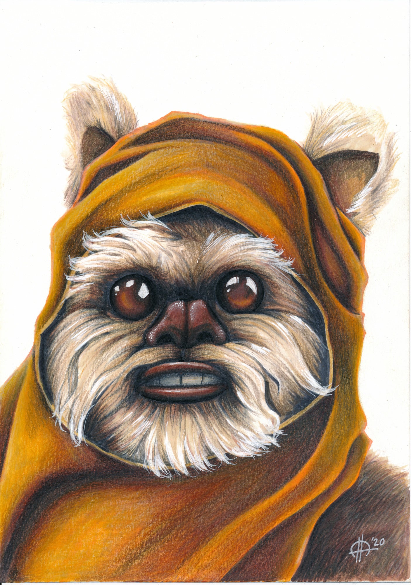 Ewok - Prent
