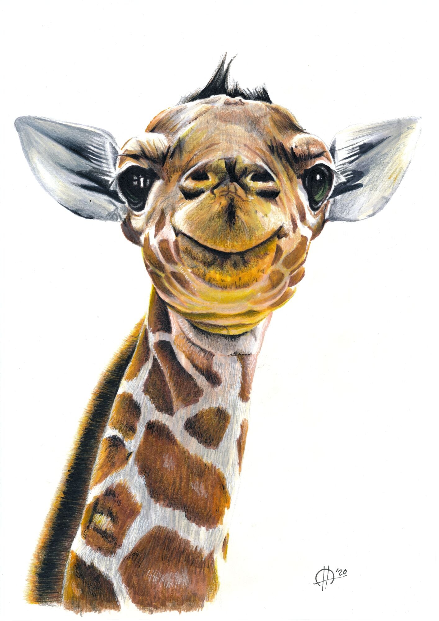 Gíraffi - Prent