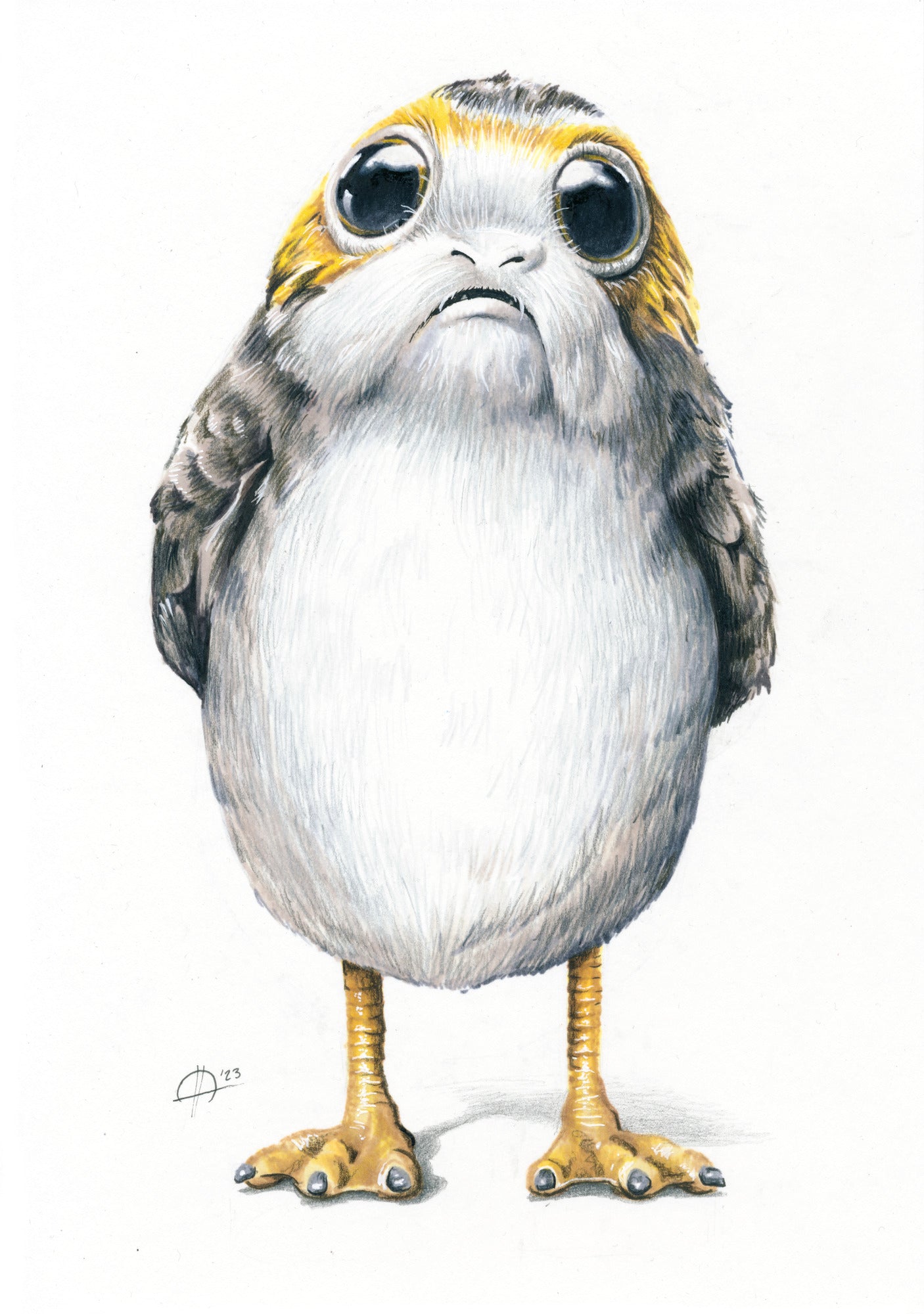 Porg - Prent