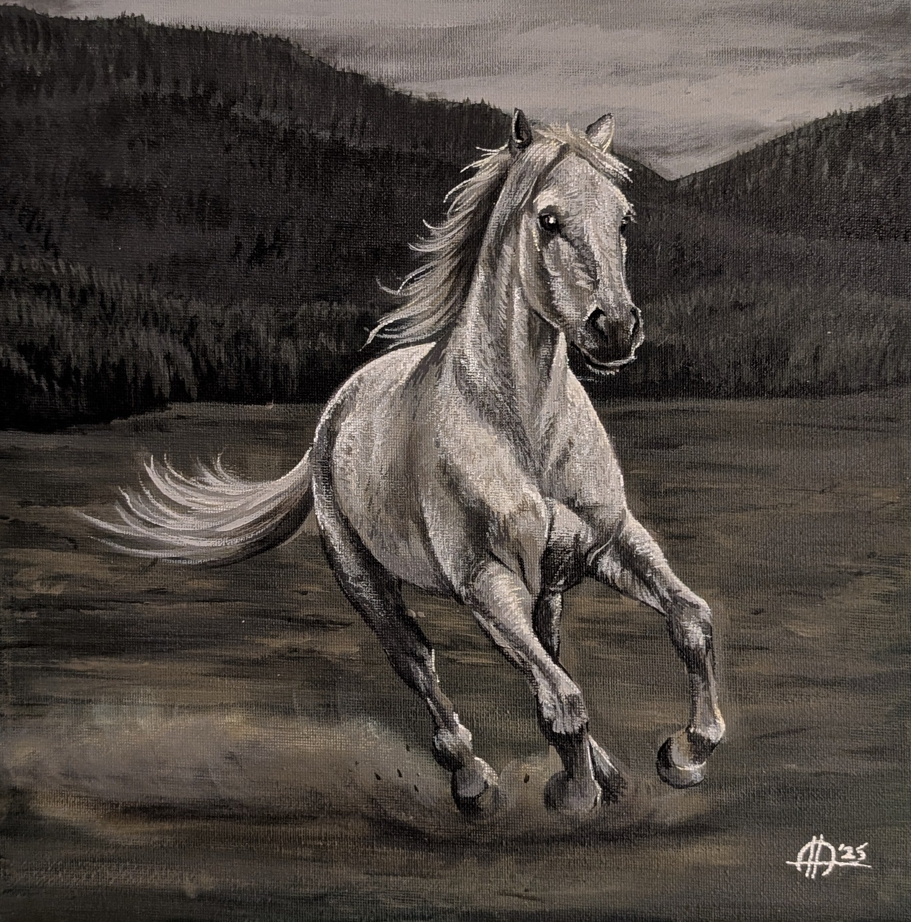 Shadowfax