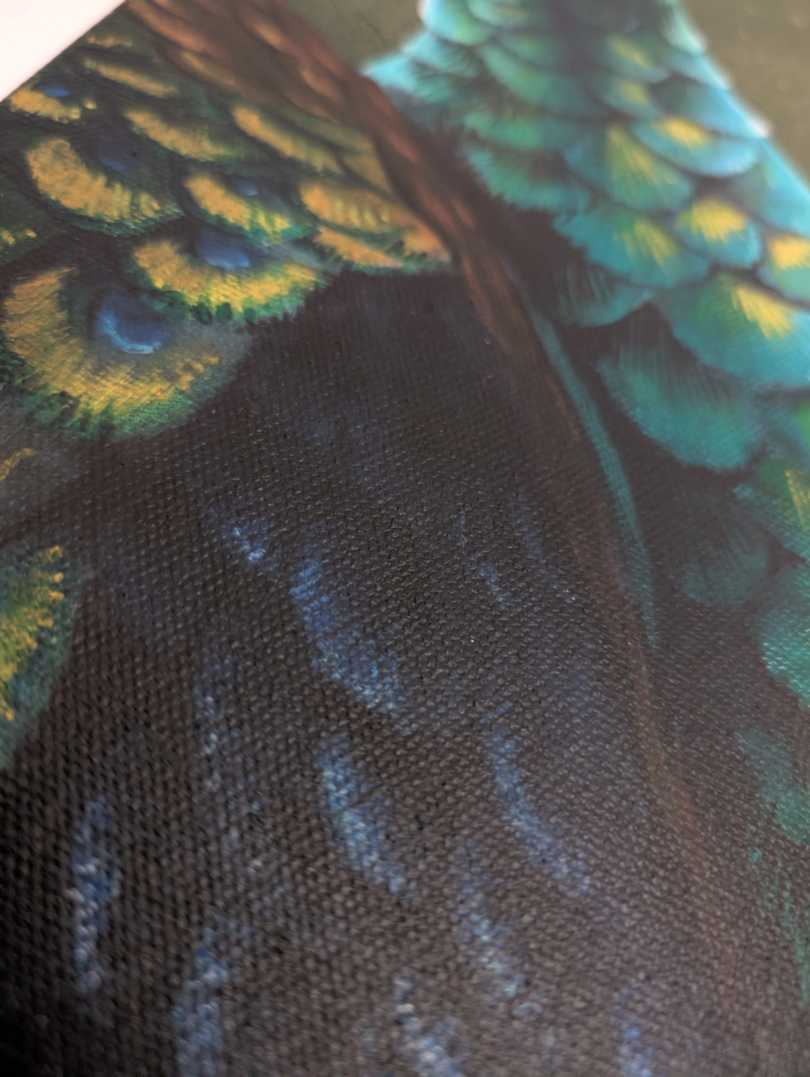 Peacock portrait