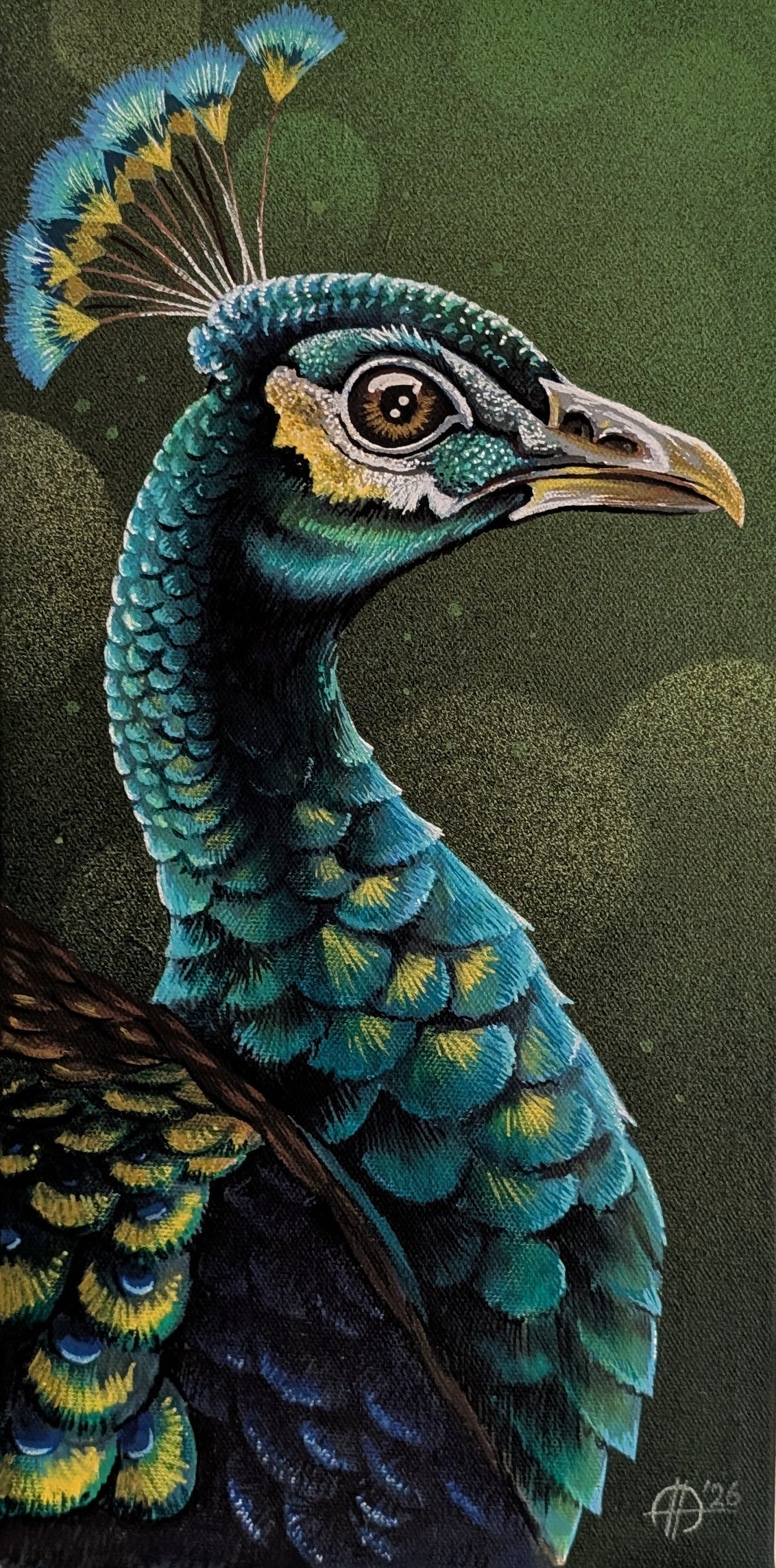 Peacock portrait