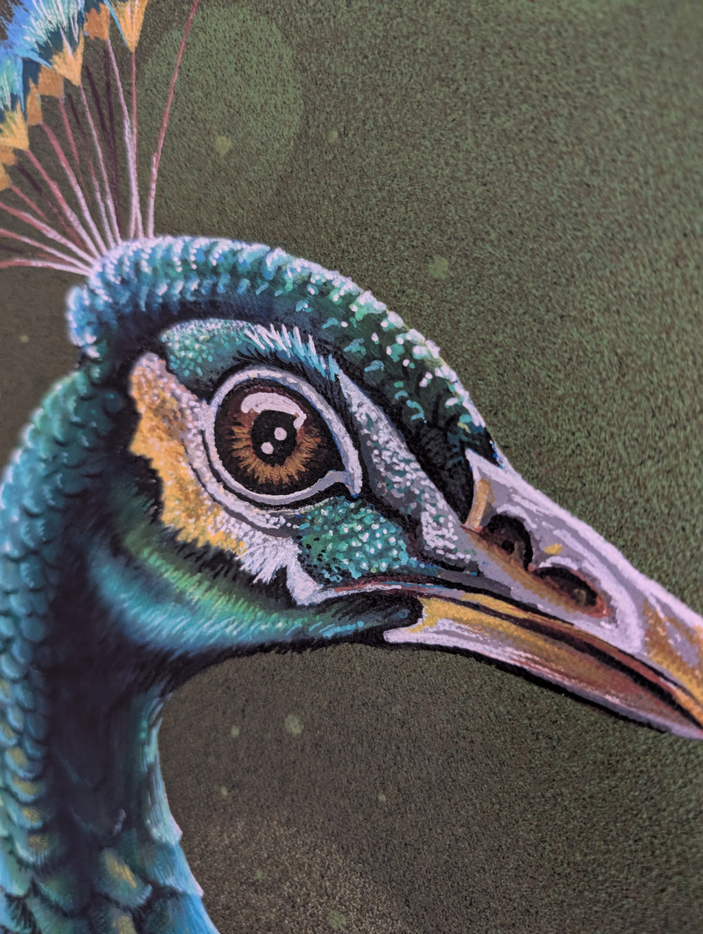 Peacock portrait